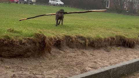 Executive Aquatic Branch Manager