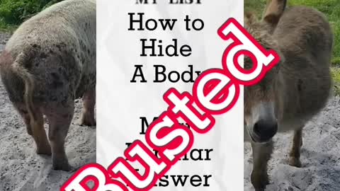 How to Hide a Body/Most Popular answers