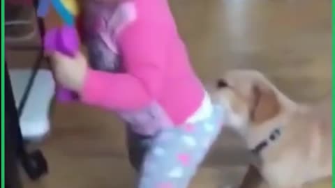 Puppy tried to pull baby's pants🐶🐕😄😍