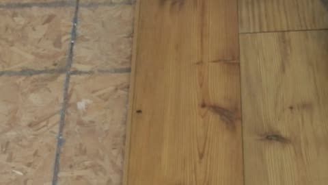 How to lay a wood floor