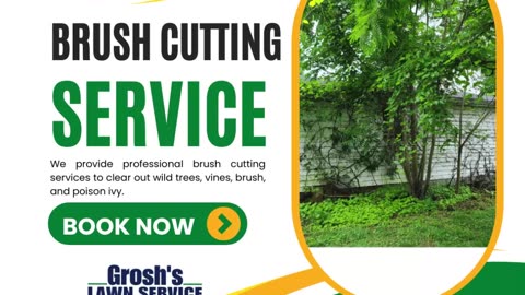 Brush Cutting Williamsport Maryland Landscape Contractor