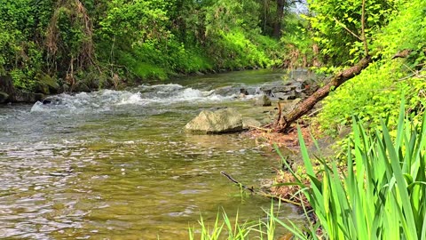 A beautiful little river / beautiful sounds of nature.