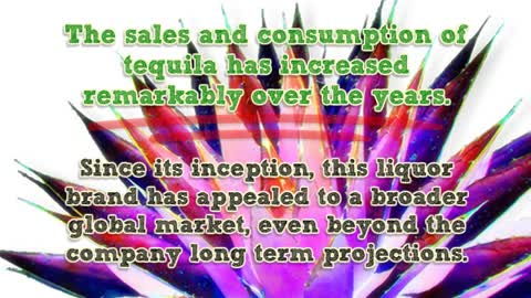 Growth of Tequila Market in 2014 by Brady Bunte