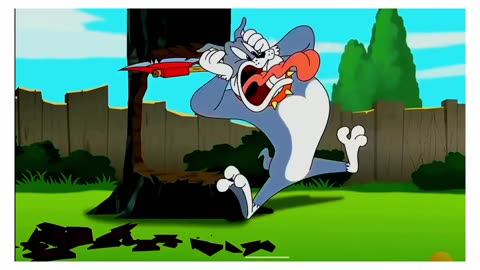 Tom & Jerry | New Chase | New cartoon 2024