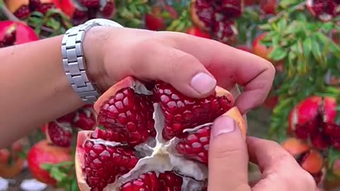 Fruit cutting skill absolutely fantastic