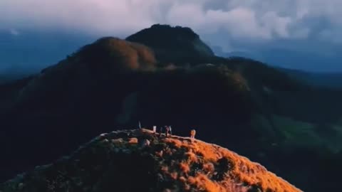 Gem of Munnar, Kerala ☁️🤍