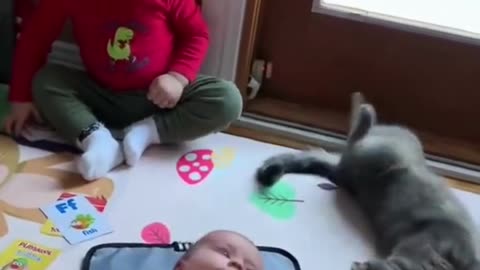 Funny baby Video