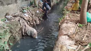 Rescuing Puppies From The River