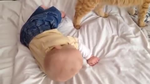 Cats Meeting Babies for the FIRST Time [NEW] Compilation