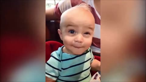"Baby Adventures: Hilarious Household Reactions and Playtime Fun Compilation"