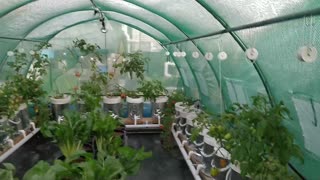 Greenhouse Cover Replacement a Quick Look