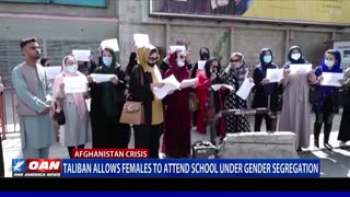 Taliban allows females to attend school under gender segregation