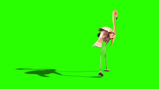 Pink flamingo green screen effect