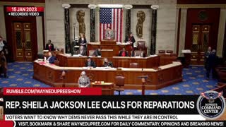 Jackson-Lee Calls For Reparations