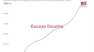 US Excess Deaths
