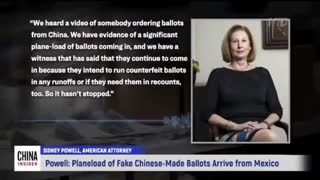 China Insider- Fake Chinese-made Ballots arrive from Mexico - 12-11-20