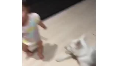 Little girl training their dog