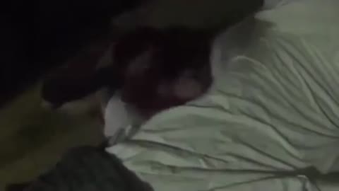 Girl pranked while sleeping by her boyfriend