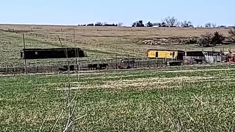 Why Are There Abandoned RR Cars All Over NE Kansas #shorts #RR #nativeamerican