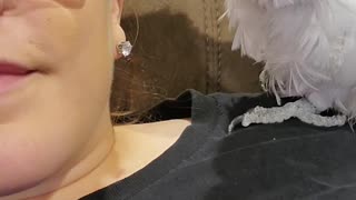 Cockatoo Just Wants Jewelry