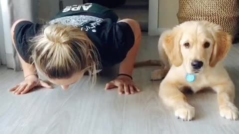 Pup Does Push-ups with His Person