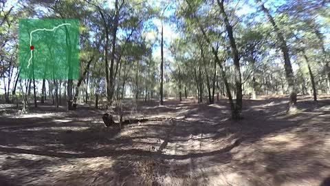 Croom OHV - Leaving Sandhill pit SW corner singletrack - helmet cam - Brooksville, Florida