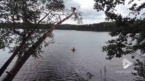 Tree jump goes wrong