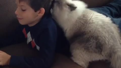 Cat gives boy a bath