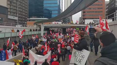 Calgary protest