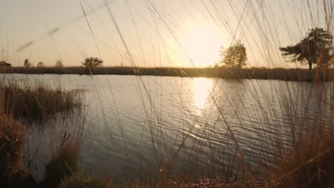 Nature Nature Landscape Sunset Afternoon Trees Sky Alone