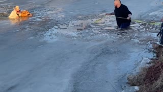 Good Samaritans Rescue Dog From Icy Lake