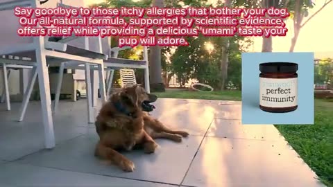 Does your dog suffer? Is your furry companion struggling with allergies? @ParlicoPets