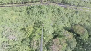 Helicopter Chainsaw Trimming Trees Next to Power Lines