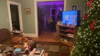 My Dog Summer Watching Rudolph