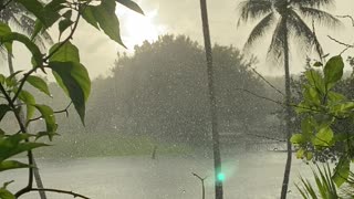 Sunny Rain