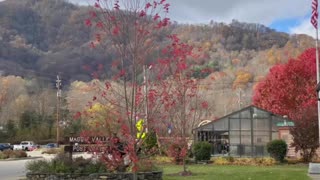 Maggie Valley North Carolina