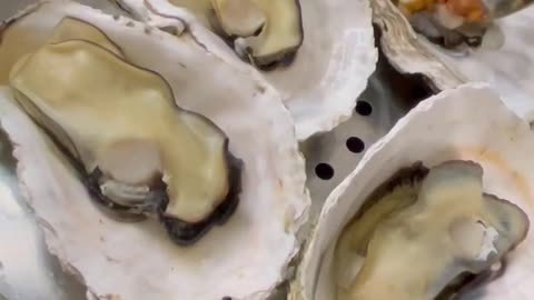 Oysters are also a delicacy