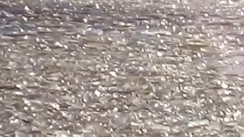 bazaar water phenomenon captured on video