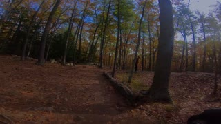 South Mountain Trail Fun - Pawtuckaway State Park, New Hamphsire