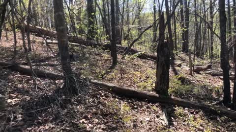 Delilah and Pop Pop Hike