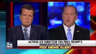 Look what former acting director of ICE calls sanctuary cities