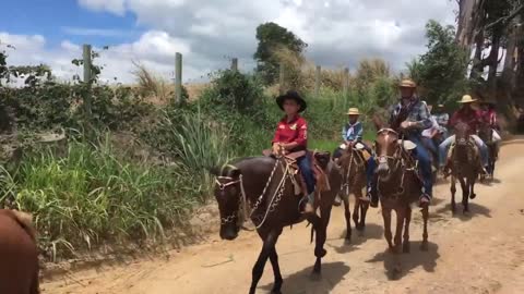 Real American cowboys ride horses on the road