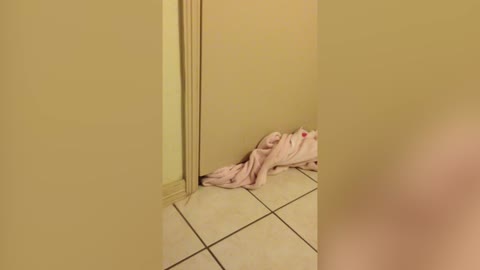 Tiny Puppy Successfully Squeezes Through Door Crack