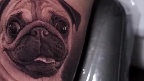 A Famous PUG done by Jose Contreras in TEXAS!