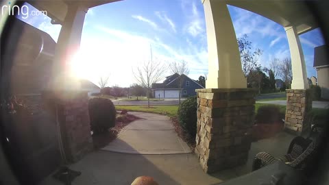 Watch How This Dog Rings Doorbell