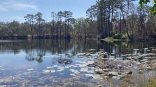 Hiking Blue Pond at Dunn's Creek in Putnam County, FL