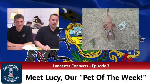 "Pet Of The Week" - Pit Bull Mix From Lancaster's Zoe's House Rescue Needs Fur-Ever Home - Ep. 3
