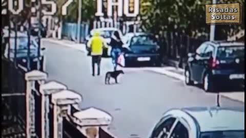 Street dog hero saves innocent woman from burglar