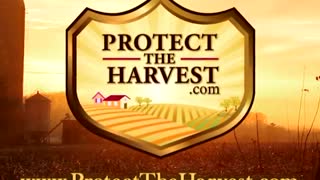 Protect The Harvest - Standing Up