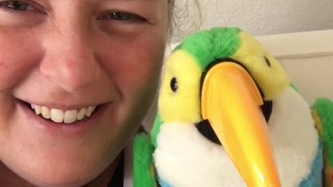 Hilarious parrot toy